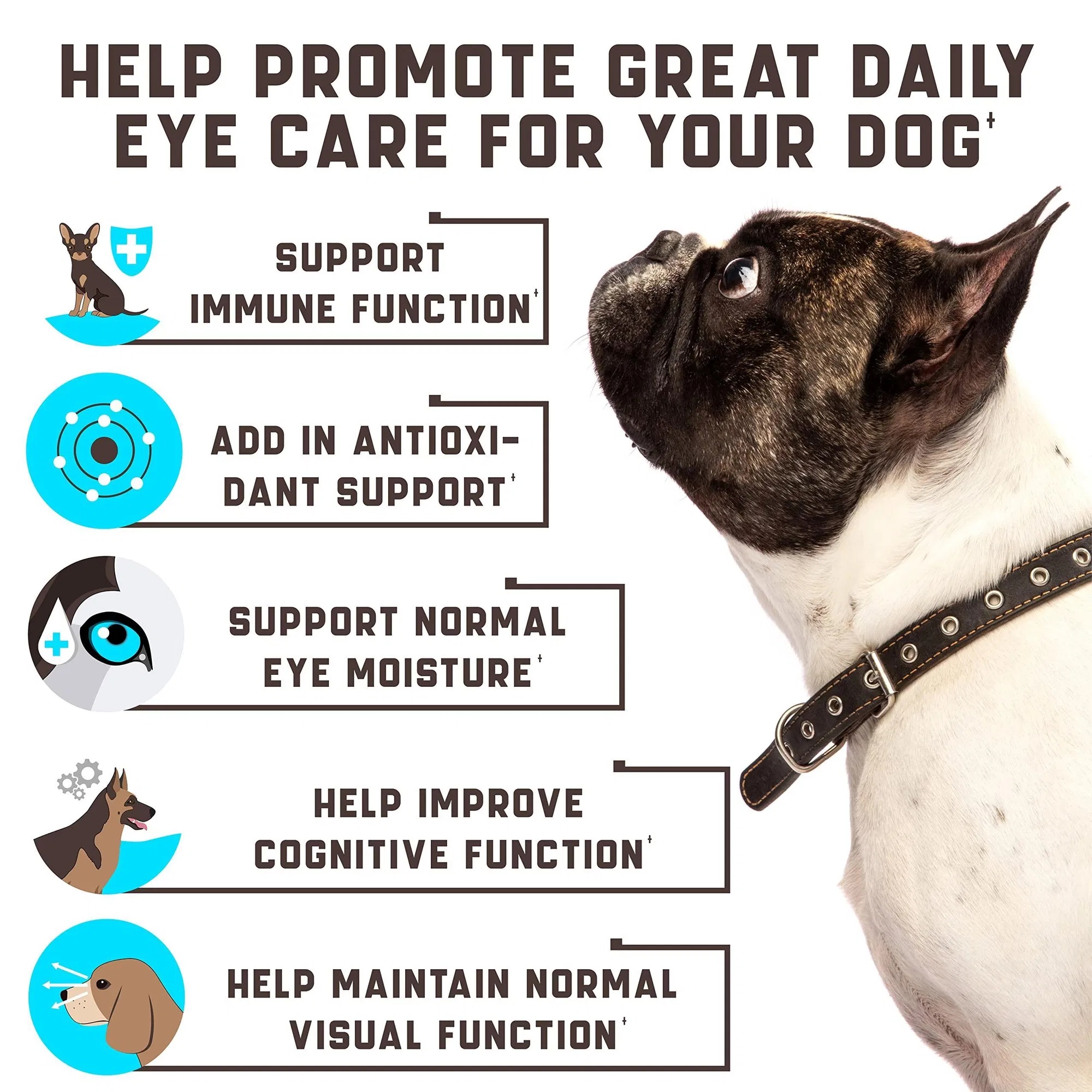 Do Not Sell On Amazon Eye Vitamins For Dogs Dog Vision Supplement For Tear Stains Dog Eye Care Immune Support Vitamin - Image 5